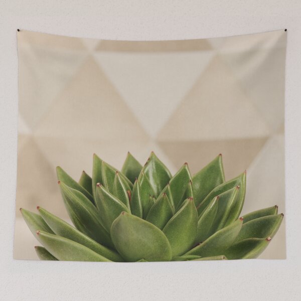 Item preview, Succulent plant close up designed and sold by Anna Khomulo.