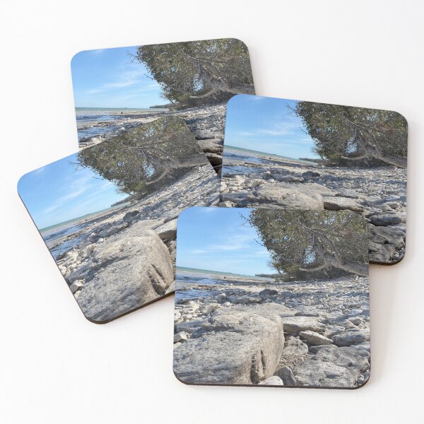 Item preview, Fallen Water Tree designed and sold by WaltonArts.