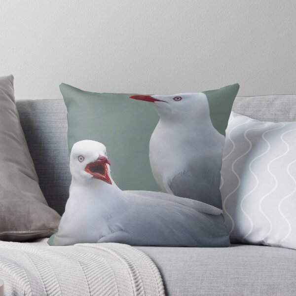 Item preview, What's going on! Seagull - Port Chalmers Otago New Zealand designed and sold by AndreaEL.