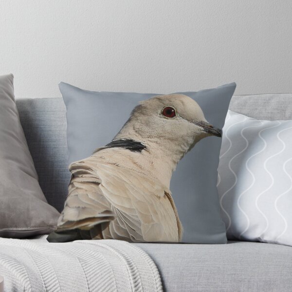 Item preview, You still there? I'm leaving -  African Collared Dove - Gore - New Zealand designed and sold by AndreaEL.