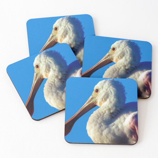 Item preview, Roseate Spoonbill designed and sold by Jeffrey Mask.