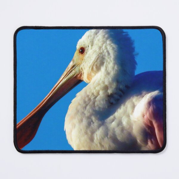 Item preview, Roseate Spoonbill designed and sold by Jeffrey Mask.