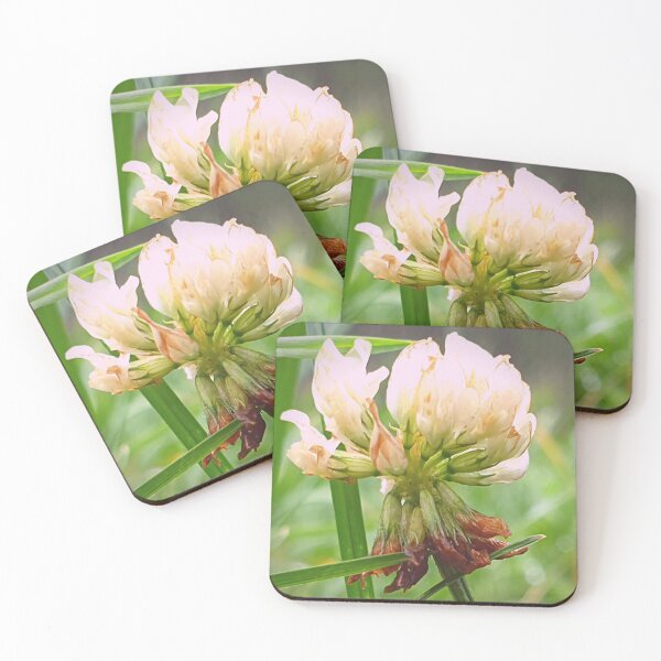Item preview, Pretty Delicate Clover in Flower amongst the Vibrant Green Grass designed and sold by CreateShape.
