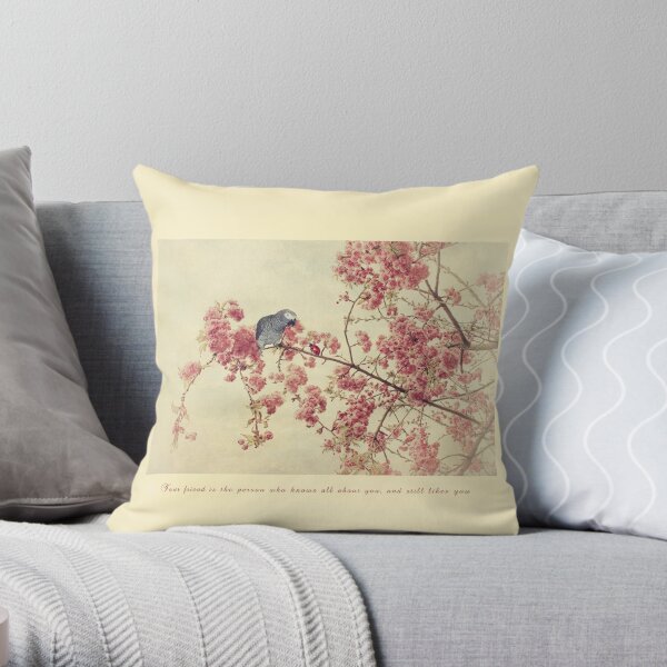 Friendship :) Throw Pillow