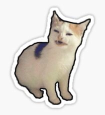 why he cry from banana - sad cat meme Sticker