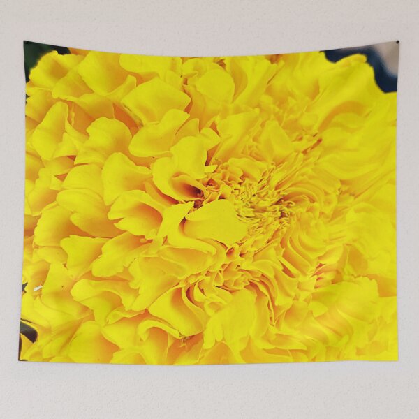 Item preview, Pretty Yellows designed and sold by kcrystalfriend.
