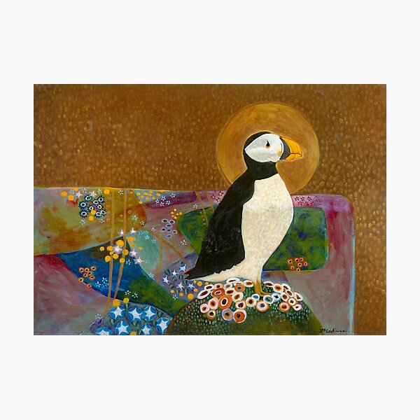 Summer Puffin Photographic Print