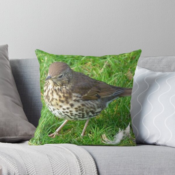 Item preview, Who left these feathers! Song Thrush - New Zealand designed and sold by AndreaEL.