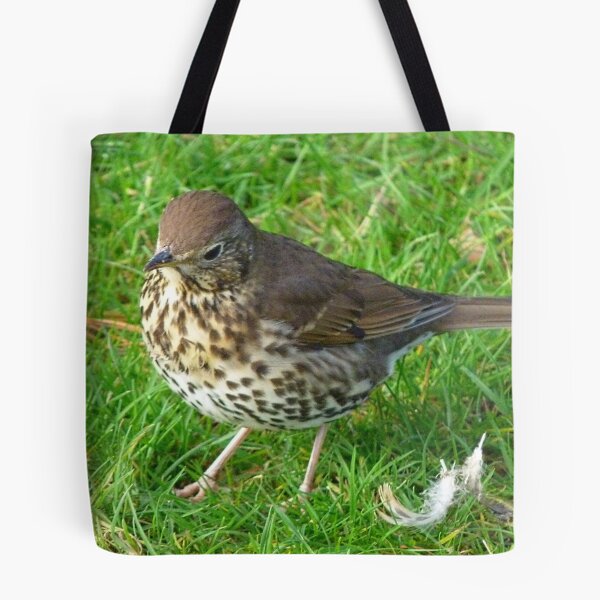 Item preview, Who left these feathers! Song Thrush - New Zealand designed and sold by AndreaEL.