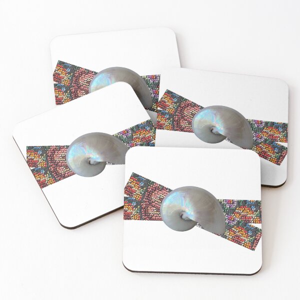 Item preview, Nautilus Shell designed and sold by boomantique.