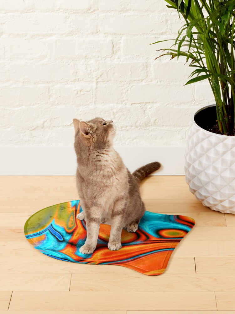 Alternate view of vivid modern Southwest hipster turquoise orange swirls Pet Mat