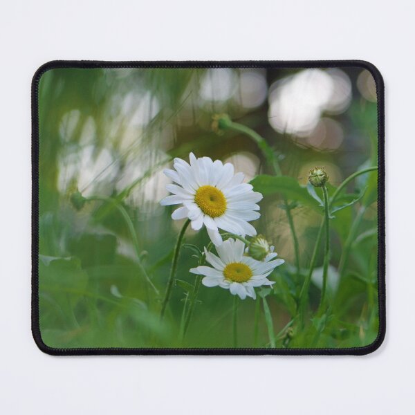 Item preview, White daisy flower among green grasses with a nice bokeh. designed and sold by santoshputhran.