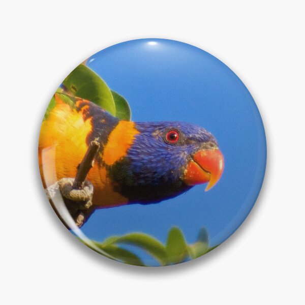 Item preview, NT ~ PARROT ~ Red-collared Lorikeet BZ9KN5jt by David Irwin 15012021 designed and sold by tasmanianartist.