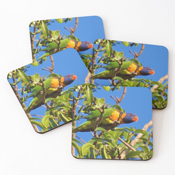 Item preview, NT ~ PARROT ~ Red-collared Lorikeet BZ9KN5jt by David Irwin 15012021 designed and sold by tasmanianartist.