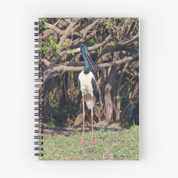 Artikelvorschau, NT ~ STORK ~ Schwarzhalsstorch ~ Jabiru gJVx7uZG von David Irwin 15012021 entworfen und verkauft von tasmanianartist.