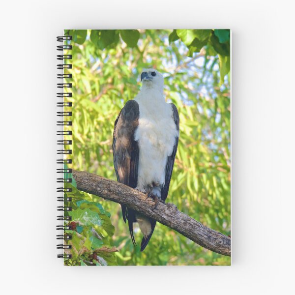 Item preview, NT ~ RAPTOR ~ White-bellied Sea-Eagle MxVRBM3A4  by David Irwin  designed and sold by tasmanianartist.