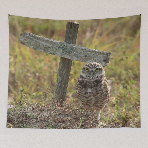 Item preview, Burrowing Owl # 0001 designed and sold by Jeffrey Mask.