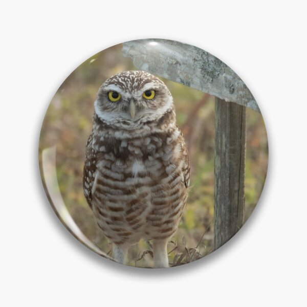 Item preview, Burrowing Owl #0002 designed and sold by Jeffrey Mask.