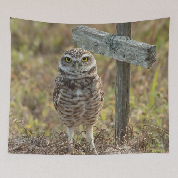 Item preview, Burrowing Owl #0002 designed and sold by Jeffrey Mask.