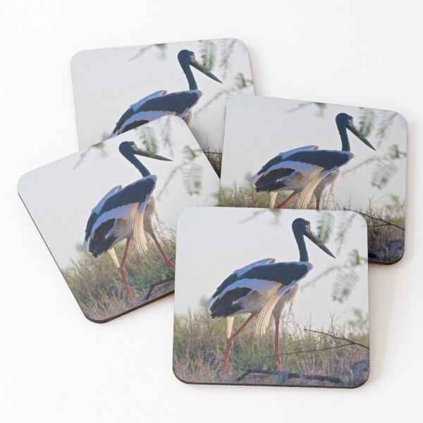 Item preview, NT ~ STORK ~ Black-necked Stork ~ Jabiru xUtVoGkG by David Irwin 15012021 designed and sold by tasmanianartist.