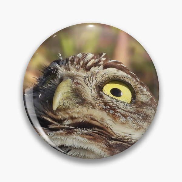 Item preview, Burrowing Owl #0003 designed and sold by Jeffrey Mask.