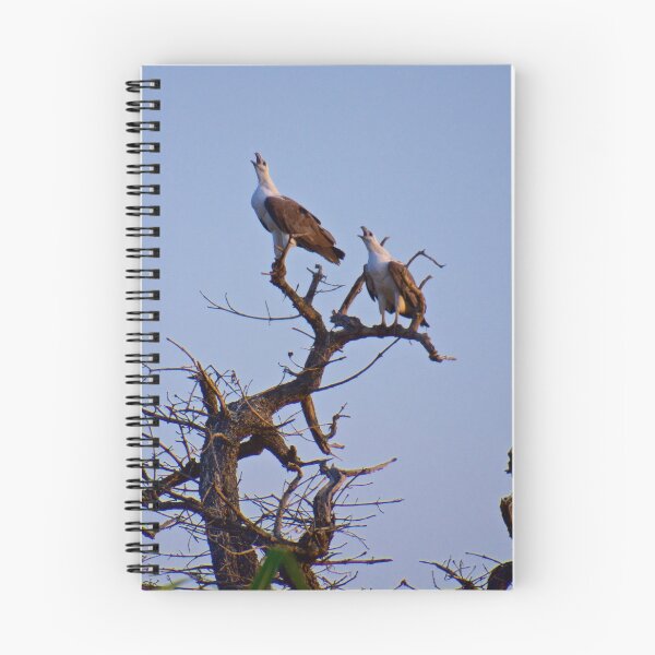 Item preview, NT ~ RAPTOR ~ White-bellied Sea-Eagle M2VRBM3A4  by David Irwin 15012021 designed and sold by tasmanianartist.