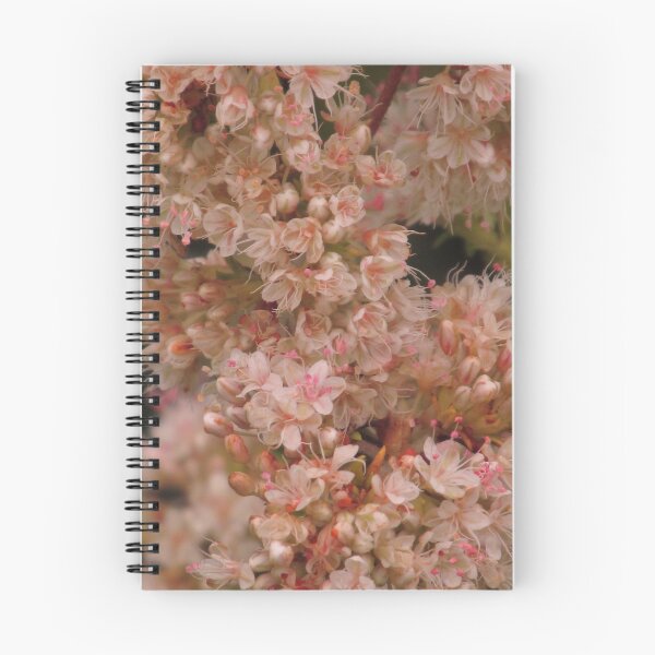 Item preview, Pink flowers designed and sold by imasillypirate.