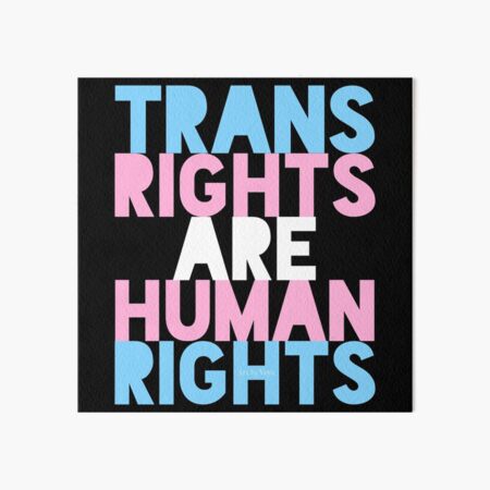 Trans pride  Art Board Print for Sale by Natalice