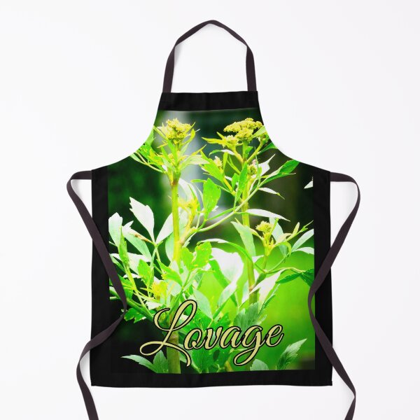 Item preview, Lovage (Levisticum officinale) designed and sold by angel1.