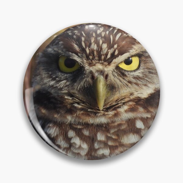 Item preview, Burrowing Owl #0005 designed and sold by Jeffrey Mask.