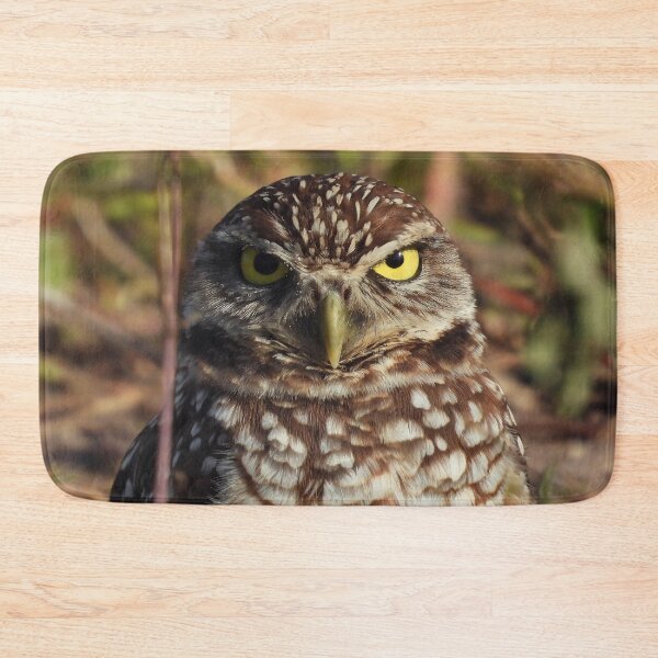 Item preview, Burrowing Owl #0005 designed and sold by Jeffrey Mask.