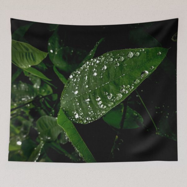 Item preview, West Coast Gardens: Spring Spangles designed and sold by Chancelrie.