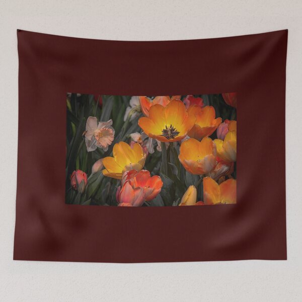 Item preview, USA. Pennsylvania. Philadelphia Flower Show 2017. Tulips. designed and sold by vadim19.