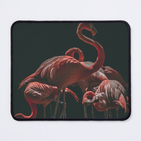 Item preview, Flamingos chilling in a dark background. designed and sold by Jiksy.