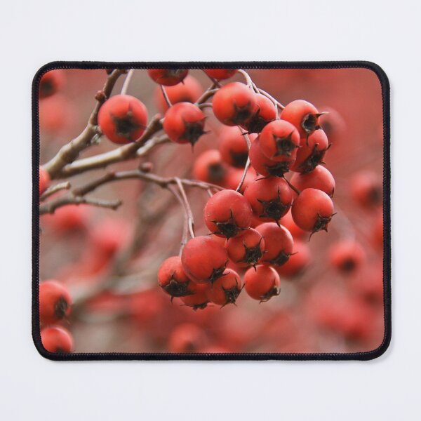 Item preview, Kwanzan Cherries... designed and sold by Poete100.