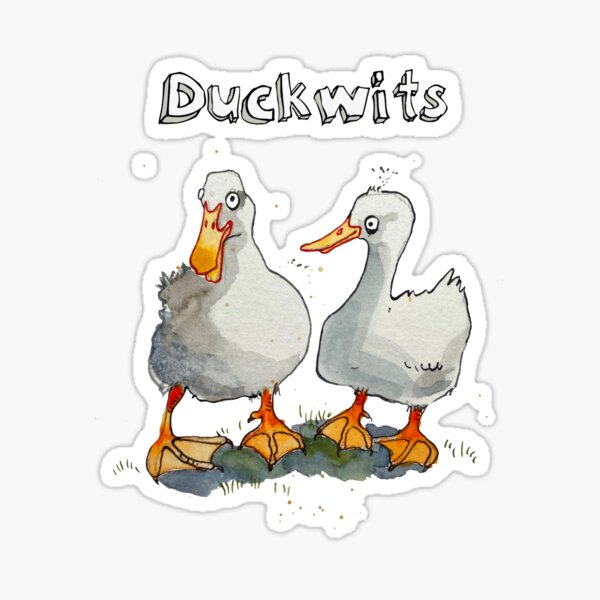 Idiotic Ducks - ducking about Sticker