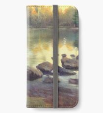 Spring at the Duck Pond iPhone Wallet/Case/Skin