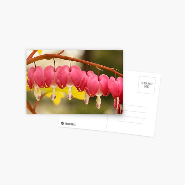 Item preview, Love Bleeding Hearts designed and sold by Gary Horner.