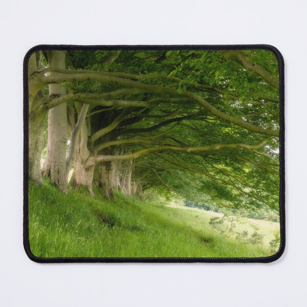Item preview, Beech Row at Draycott Sleights designed and sold by Craig Joiner.