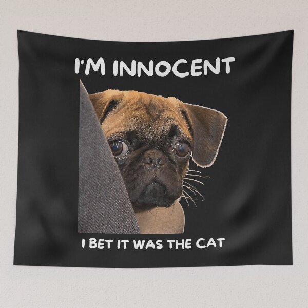 Item preview, I'm Innocent I Bet It Was The Cat Funny Guilty Cute Pug Premium designed and sold by virnmjan.