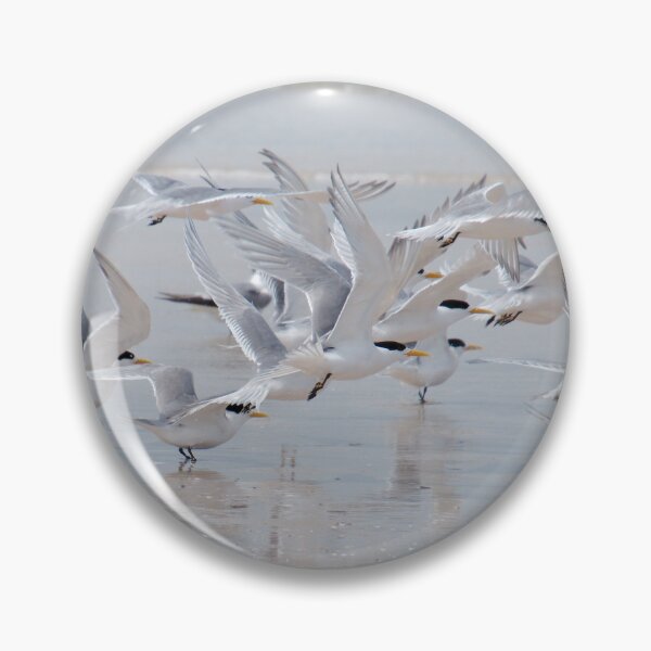Item preview, MARINEBIRD ~ Crested Tern sr5yvxVi by David Irwin 2021 designed and sold by tasmanianartist.
