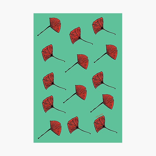 Red flowers Photographic Print