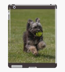 Willow iPad Case/Skin