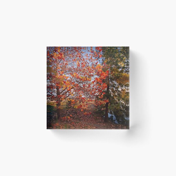Item preview, Autumn Early Morning at Lake Ginninderra (Canberra/ACT/Australia) (1) designed and sold by Wolf Sverak Photography.