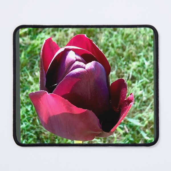 Item preview, Terrific Tulip designed and sold by KazM.