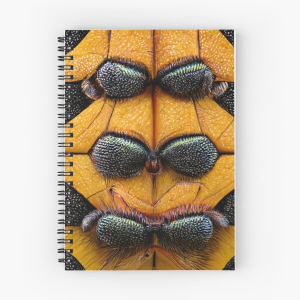 Item preview, Exoskeleton #1 | Insect | Bee | Wasp | Hornet | Macrophotography | Close Up | Pattern  designed and sold by lrjtucker.
