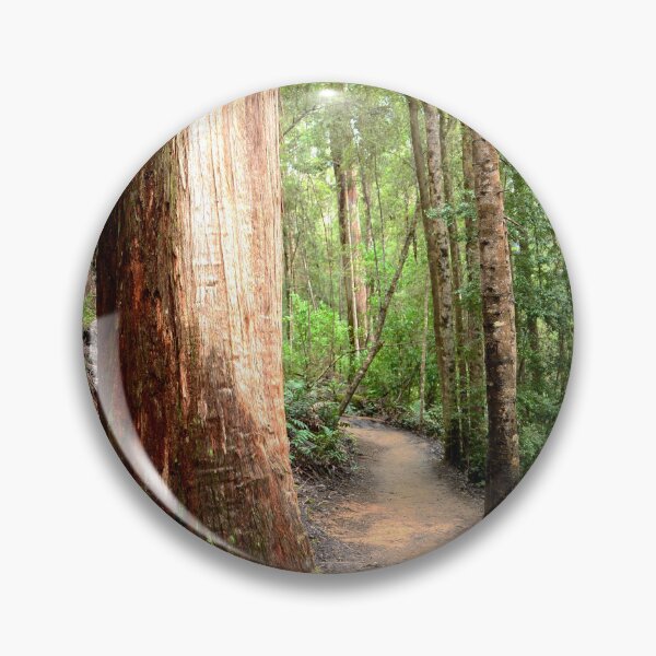 Item preview, A Track through the Wilderness - Tahune Rainforest designed and sold by imaginethis.