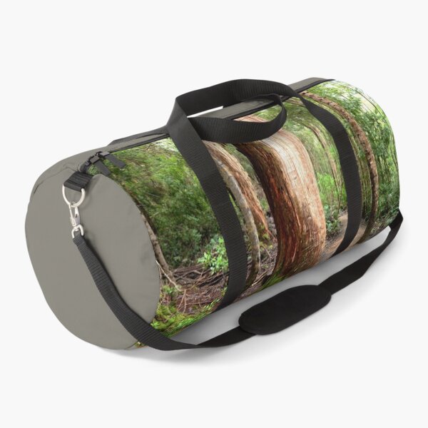 Item preview, A Track through the Wilderness - Tahune Rainforest designed and sold by imaginethis.