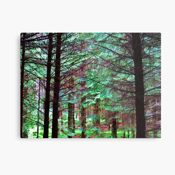 If You Go Down To The Woods Today.... Metal Print