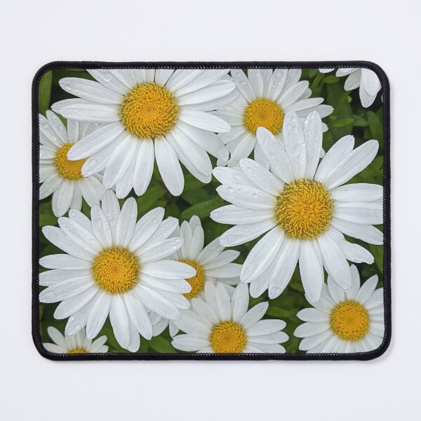 Item preview, Daisies galore! designed and sold by memorguson.